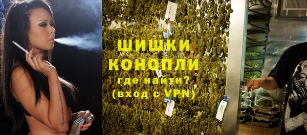 гашиш Богданович