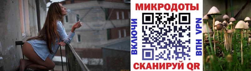 Псилоцибиновые грибы мицелий  blacksprut сайт  Ипатово 